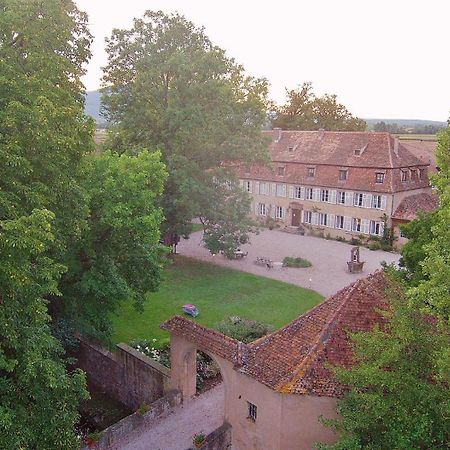 Chambres D'Hotes Chateau De Grunstein Stotzheim Exteriér fotografie